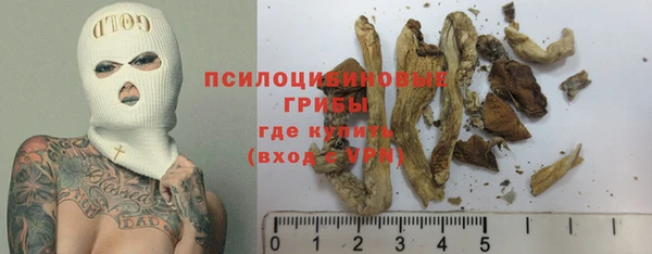 дмт Алексеевка