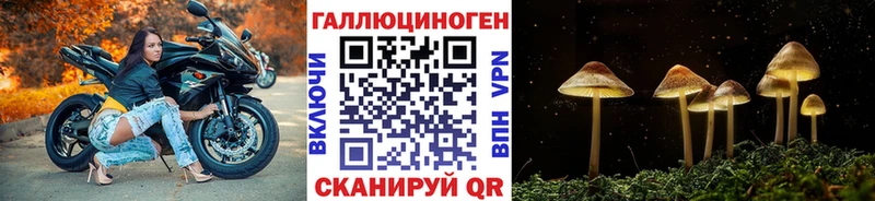 Галлюциногенные грибы прущие грибы  Калач-на-Дону 